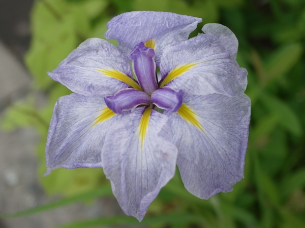 f:id:elmikamino:20110710094813j:image