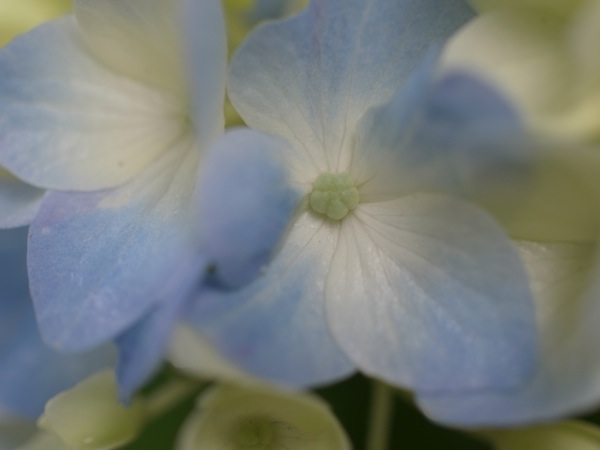 f:id:elmikamino:20110710095313j:image