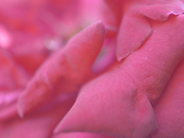 f:id:elmikamino:20110712103034j:image