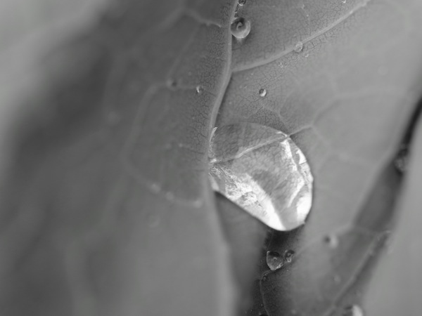 f:id:elmikamino:20110716104857j:image