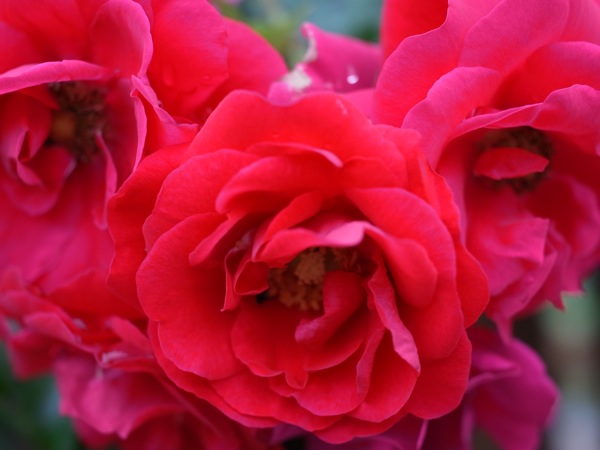 f:id:elmikamino:20110717104542j:image