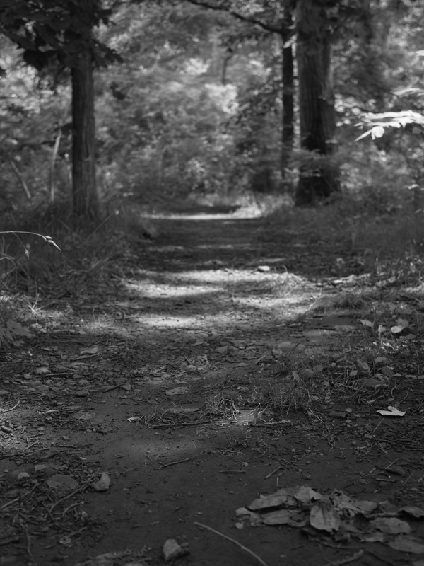 f:id:elmikamino:20110719101337j:image