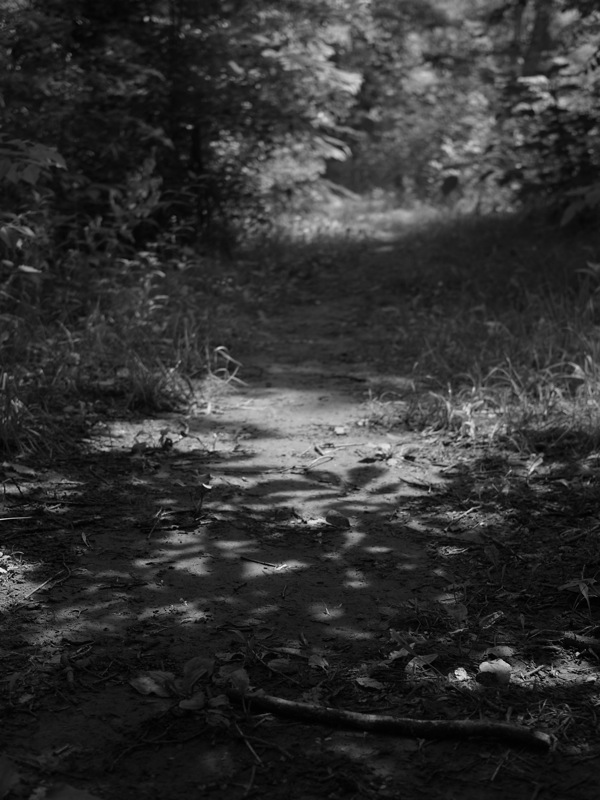f:id:elmikamino:20110719101405j:image
