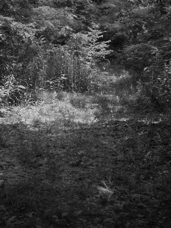 f:id:elmikamino:20110719101415j:image