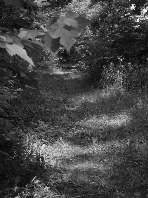 f:id:elmikamino:20110719101529j:image
