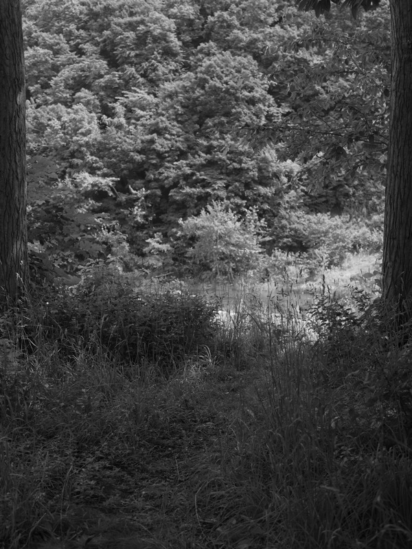 f:id:elmikamino:20110719101540j:image