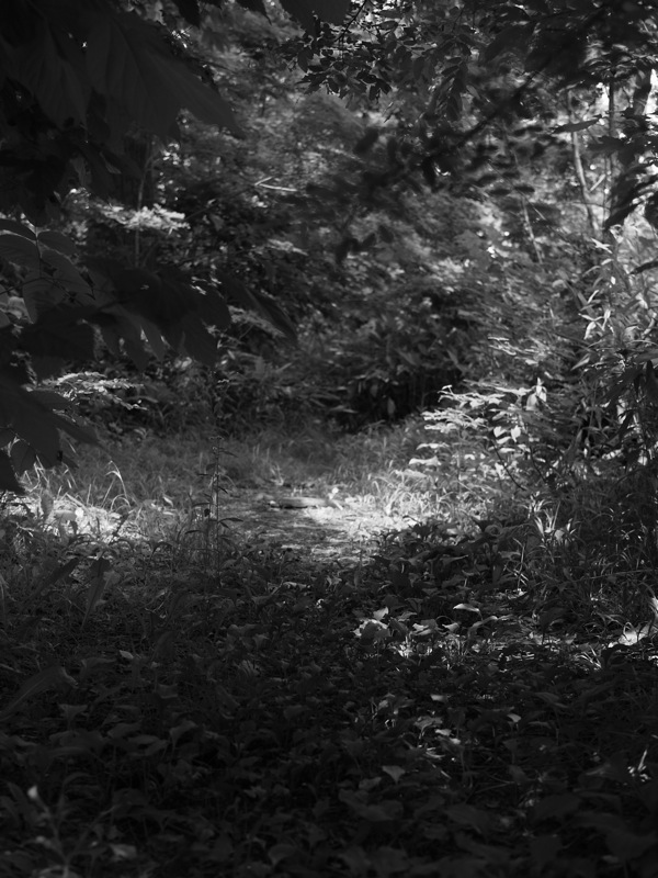 f:id:elmikamino:20110719101622j:image