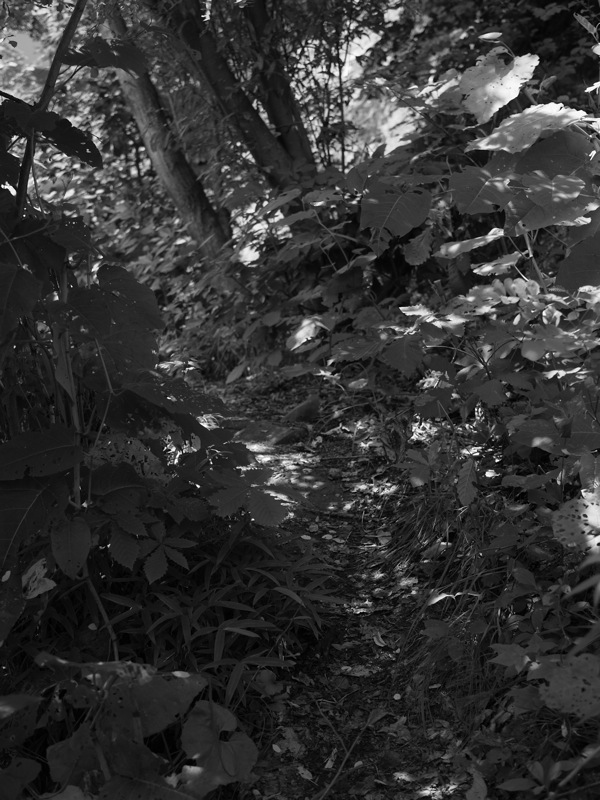 f:id:elmikamino:20110719104948j:image