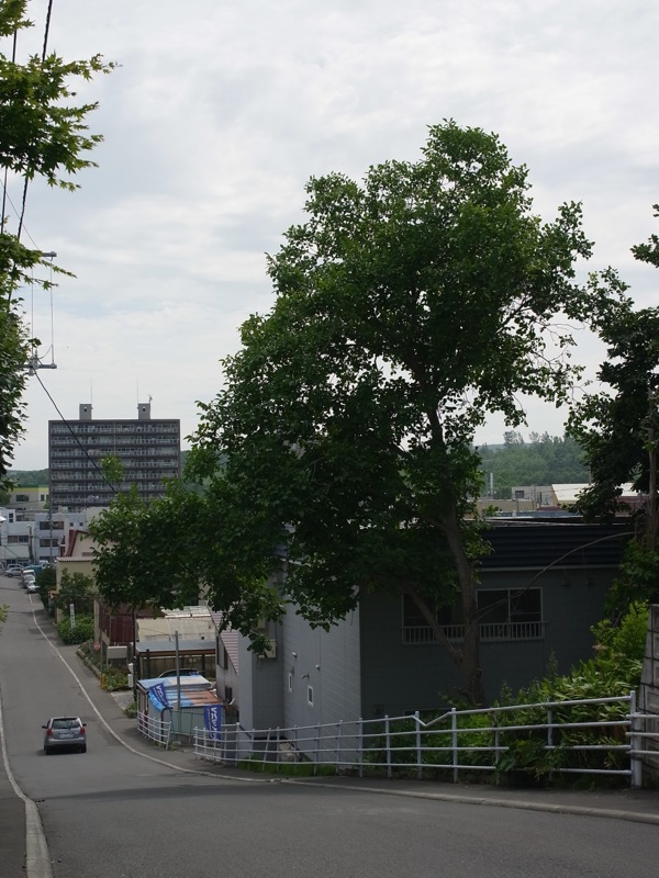 f:id:elmikamino:20110722094518j:image f:id:elmikamino:20110722094518j:image