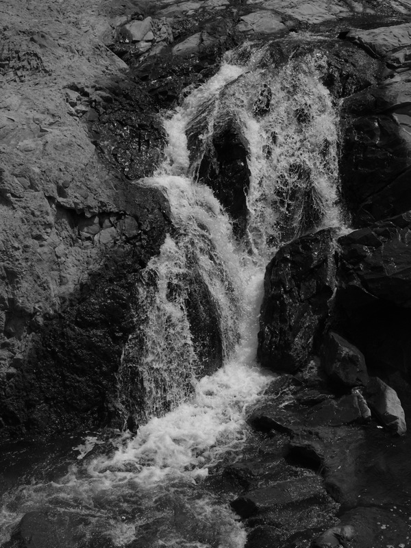 f:id:elmikamino:20110725102645j:image