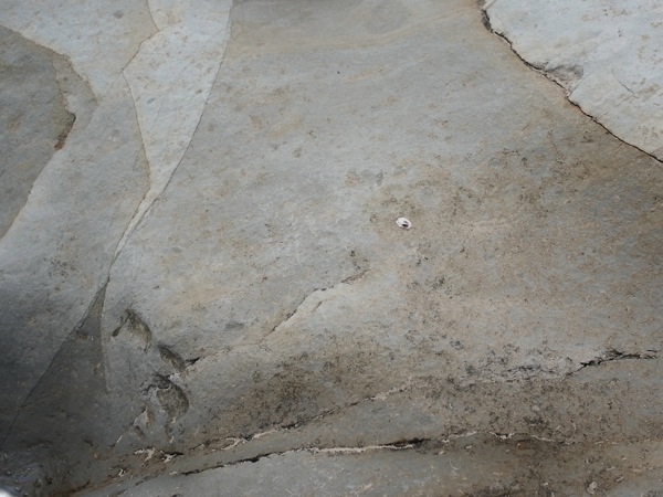 f:id:elmikamino:20110725104926j:image