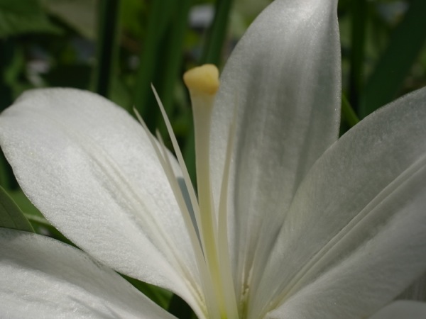 f:id:elmikamino:20110729100905j:image