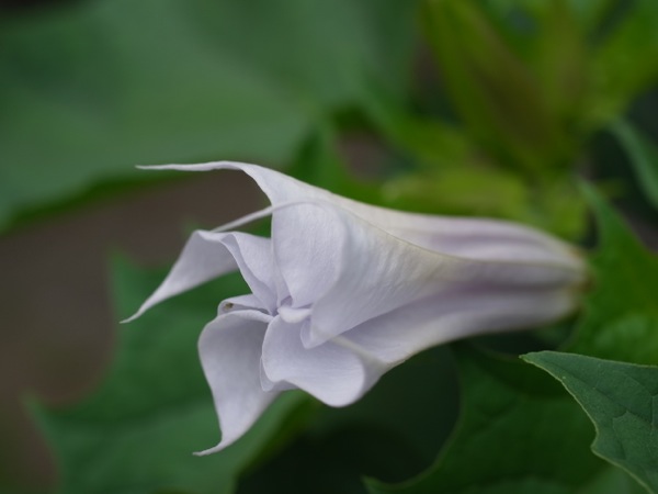 f:id:elmikamino:20110730094009j:image f:id:elmikamino:20110730094009j:image