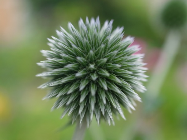 f:id:elmikamino:20110730094746j:image f:id:elmikamino:20110730094746j:image