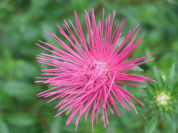 f:id:elmikamino:20110730101338j:image f:id:elmikamino:20110730101338j:image