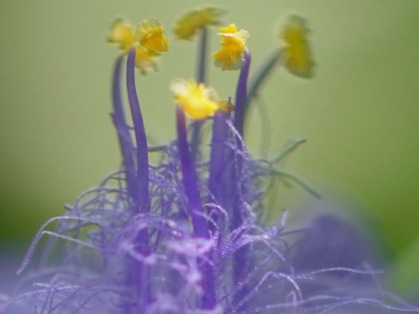 f:id:elmikamino:20110731100108j:image