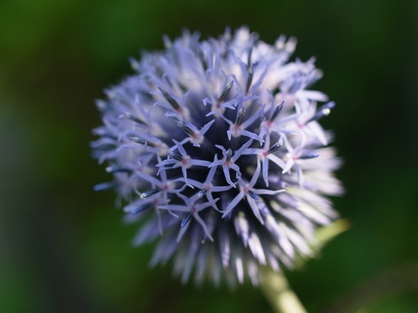 f:id:elmikamino:20110808100800j:image