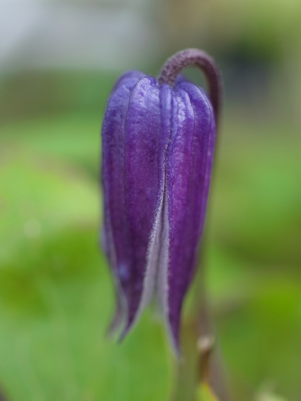 f:id:elmikamino:20110808100837j:image