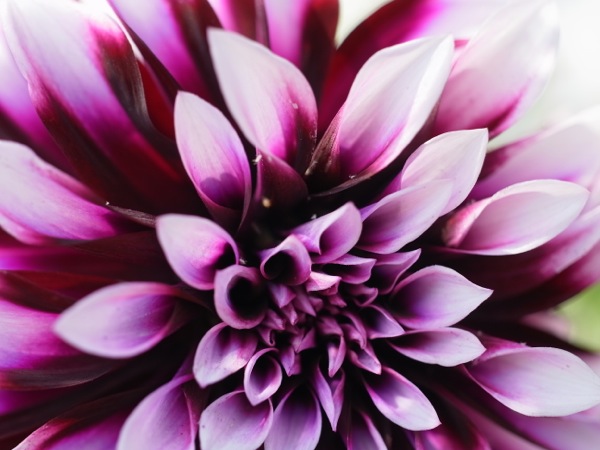 f:id:elmikamino:20110808102425j:image