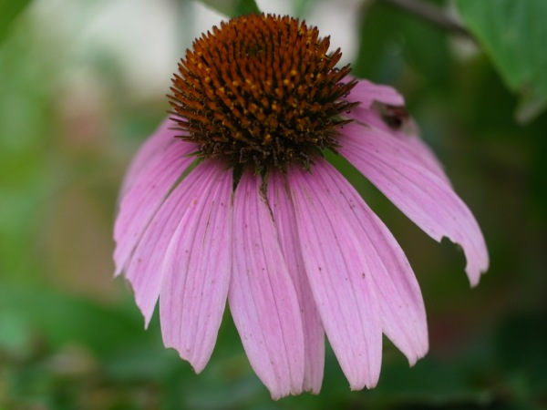 f:id:elmikamino:20110810094910j:image f:id:elmikamino:20110810094910j:image