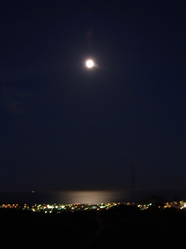 f:id:elmikamino:20110812192742j:image