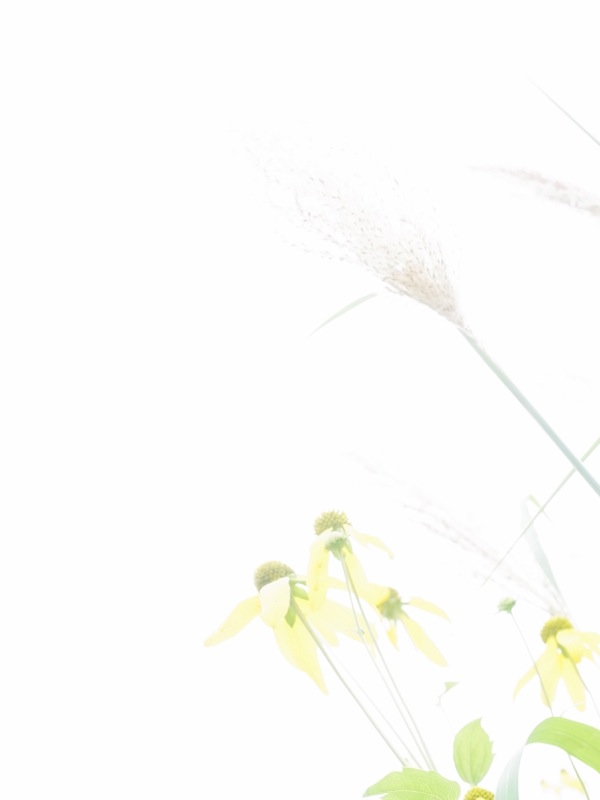 f:id:elmikamino:20110818122509j:image