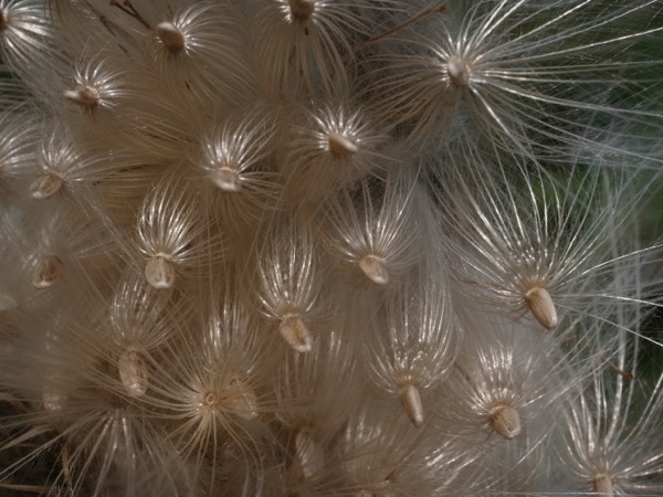 f:id:elmikamino:20110818122637j:image