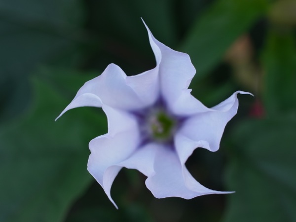 f:id:elmikamino:20110828164535j:image