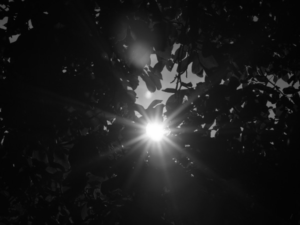 f:id:elmikamino:20110828165452j:image