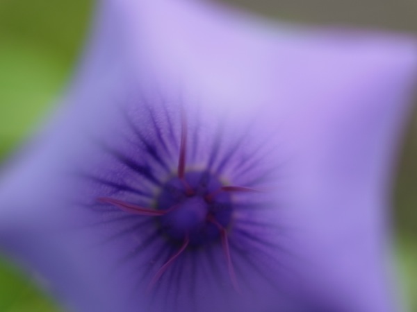 f:id:elmikamino:20110910103807j:image