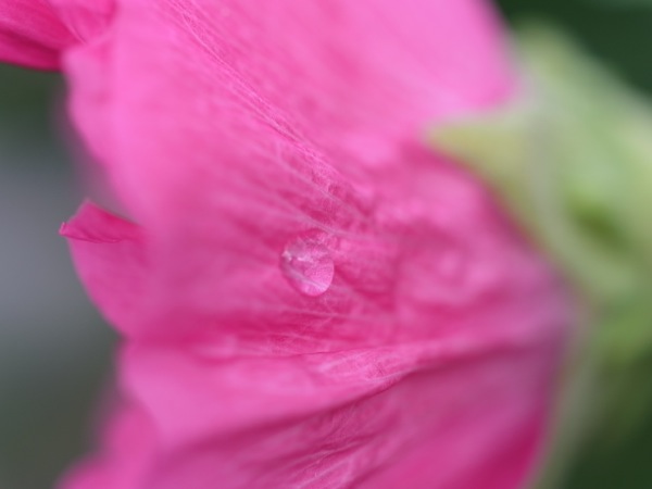 f:id:elmikamino:20110910104618j:image