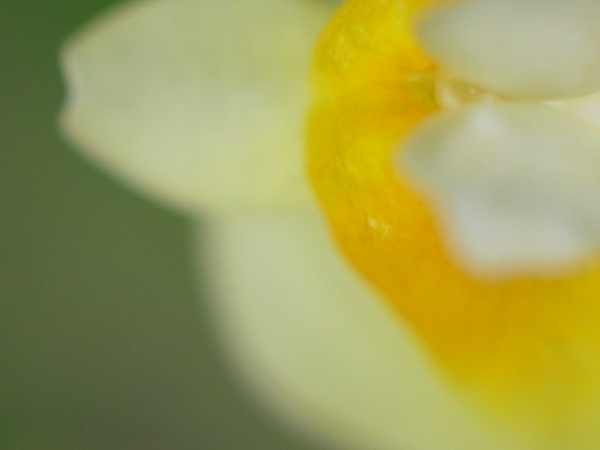 f:id:elmikamino:20110910104713j:image