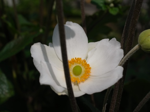 f:id:elmikamino:20110910110610j:image