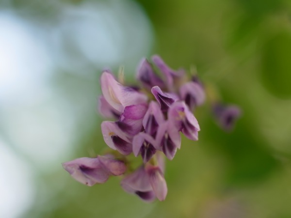 f:id:elmikamino:20110914095036j:image f:id:elmikamino:20110914095036j:image