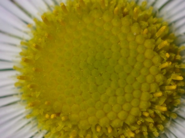 f:id:elmikamino:20110914100057j:image f:id:elmikamino:20110914100057j:image