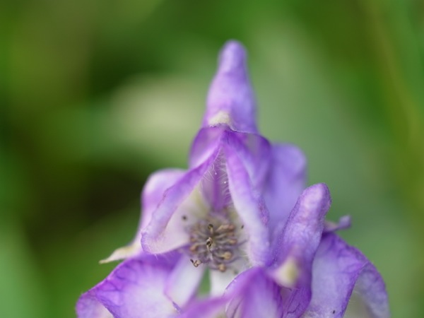 f:id:elmikamino:20110914100606j:image f:id:elmikamino:20110914100606j:image