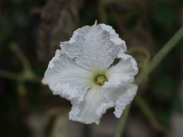 f:id:elmikamino:20110918100945j:image