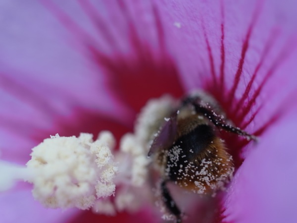 f:id:elmikamino:20110918101954j:image