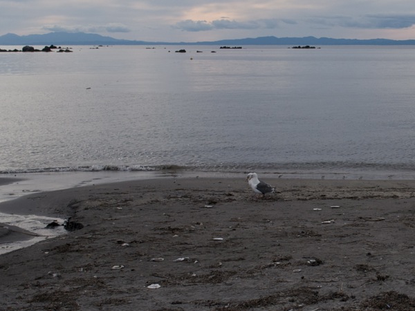 f:id:elmikamino:20110920152333j:image