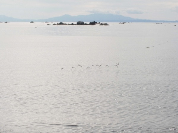 f:id:elmikamino:20110920152432j:image