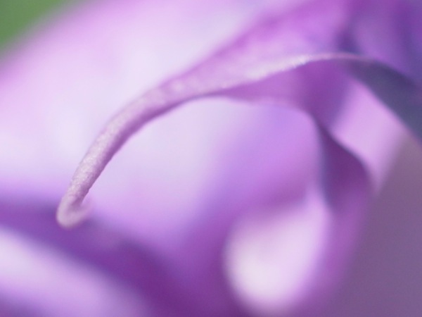 f:id:elmikamino:20111019093734j:image