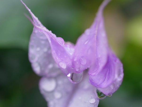 f:id:elmikamino:20111023110532j:image f:id:elmikamino:20111023110532j:image