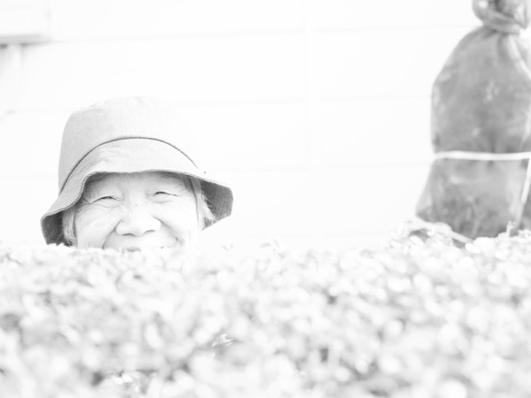 f:id:elmikamino:20111102094525j:image