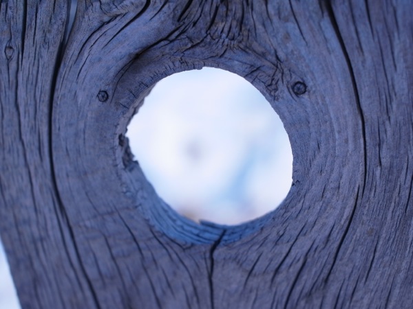 f:id:elmikamino:20111123103140j:image