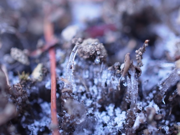 f:id:elmikamino:20111125101055j:image