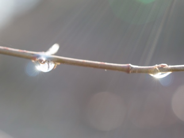 f:id:elmikamino:20111128121019j:image