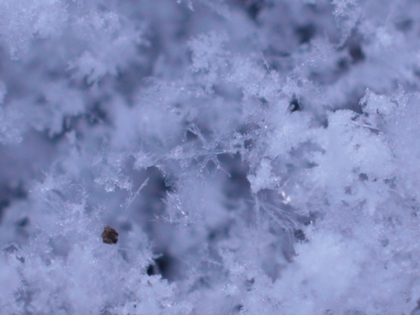 f:id:elmikamino:20111130102038j:image