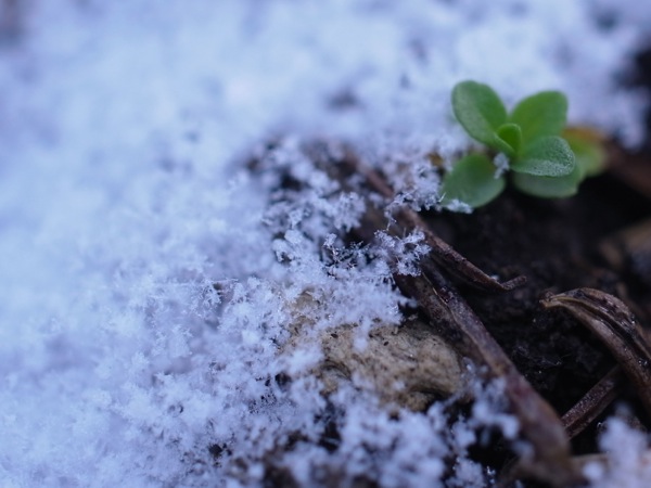 f:id:elmikamino:20111130102230j:image