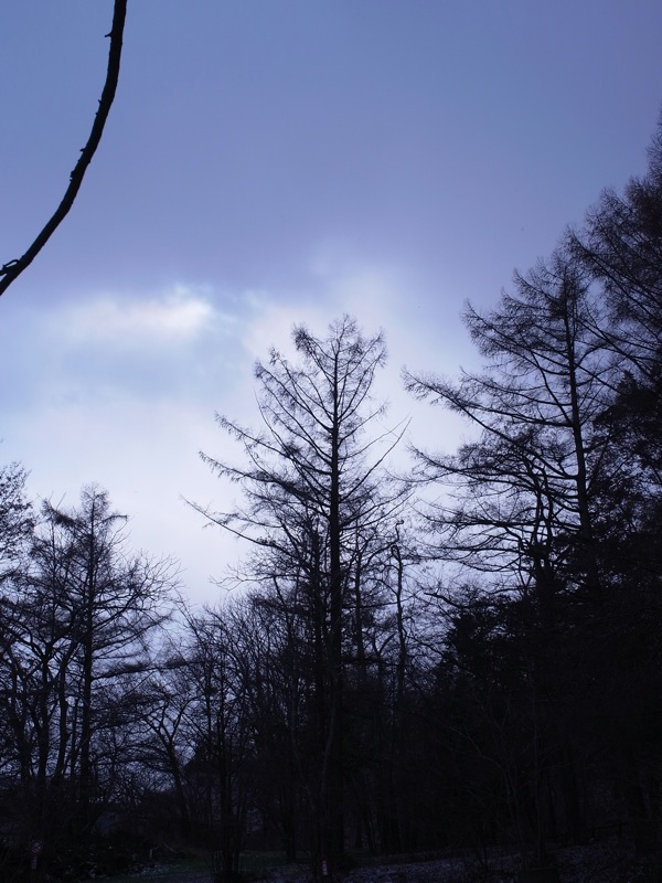 f:id:elmikamino:20111130102520j:image