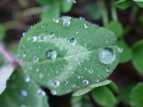 f:id:elmikamino:20111130103108j:image